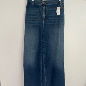 Lane Bryant Dark Blue Flare Jeans 38/40